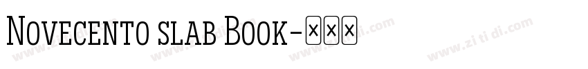 Novecento slab Book字体转换